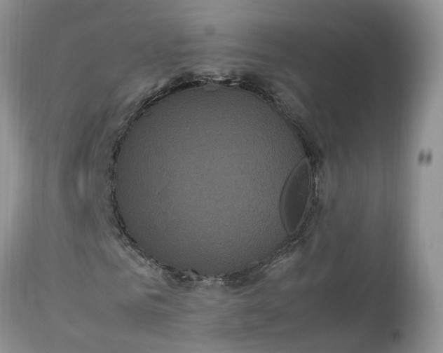 X0000113070961200909110936