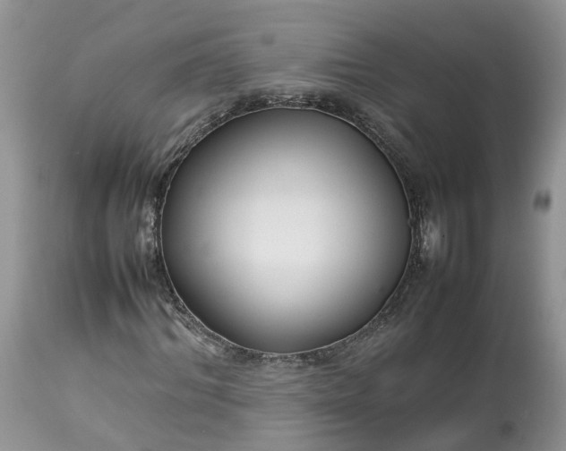 X0000113070964200909110936