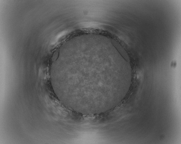 X0000113070965200909110936