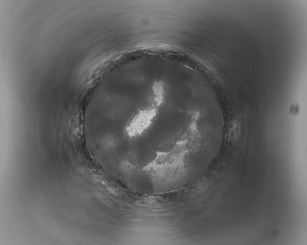 X0000113070966200909110936