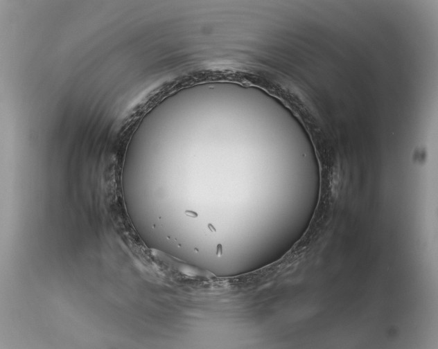 X0000113070968200909110936