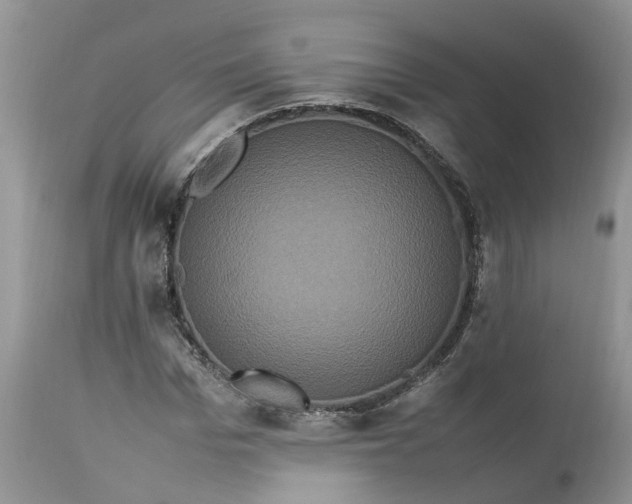 X0000113070969200909110936