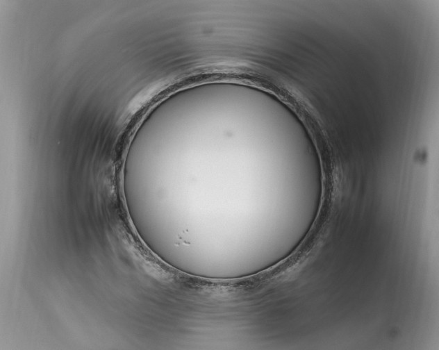 X0000113070970200909110936