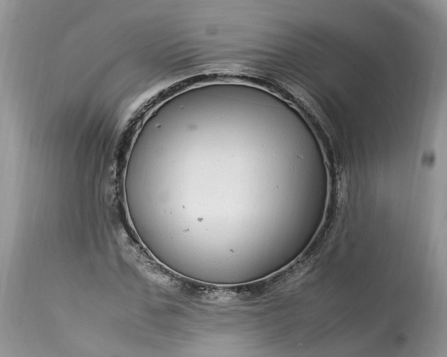 X0000113070971200909110936