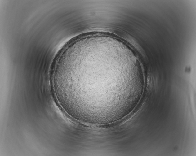 X0000113070972200909110936