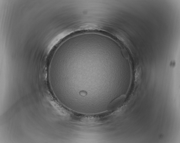 X0000113070973200909110936