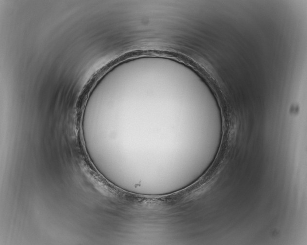 X0000113070974200909110936