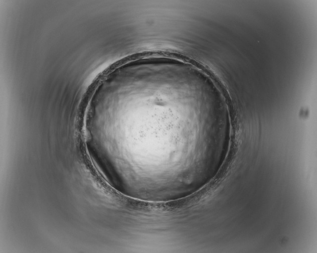 X0000113070975200909110936