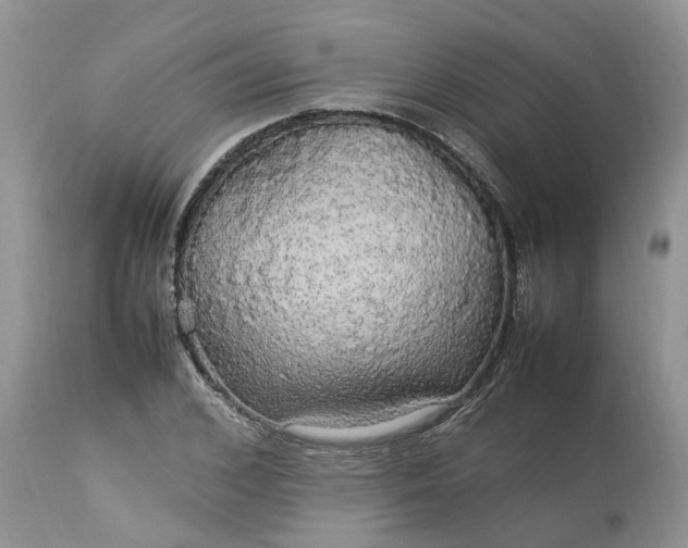 X0000113070976200909110936