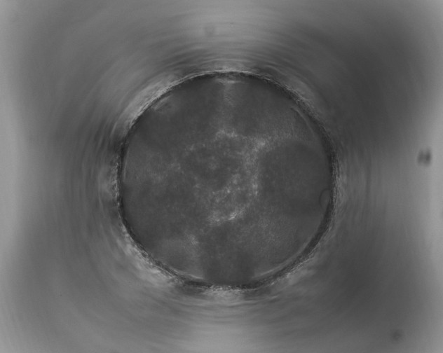 X0000113070977200909110936