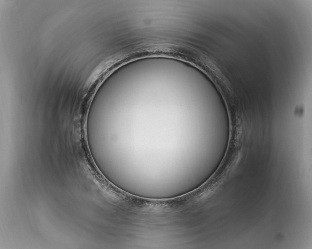 X0000113070978200909110936