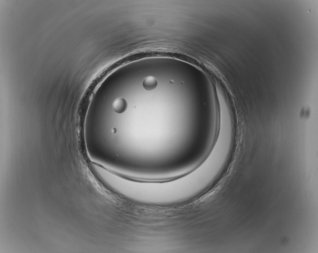 X0000113070981200909110936