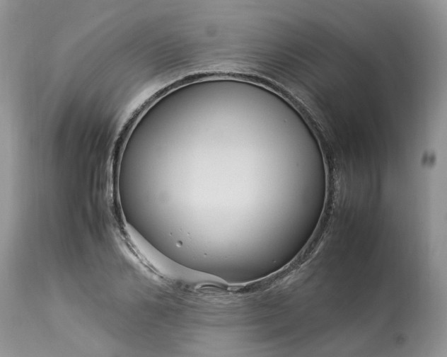 X0000113070982200909110936