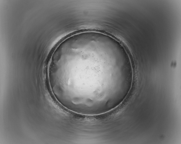 X0000113070983200909110936