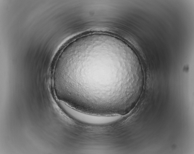 X0000113070984200909110936