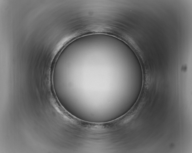 X0000113070986200909110936