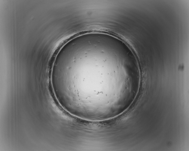 X0000113070987200909110936