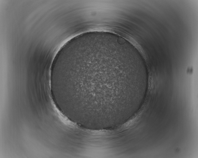 X0000113070988200909110936