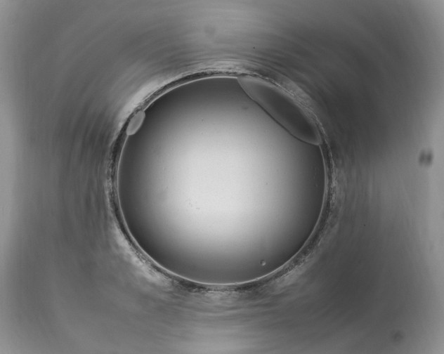 X0000113070989200909110936