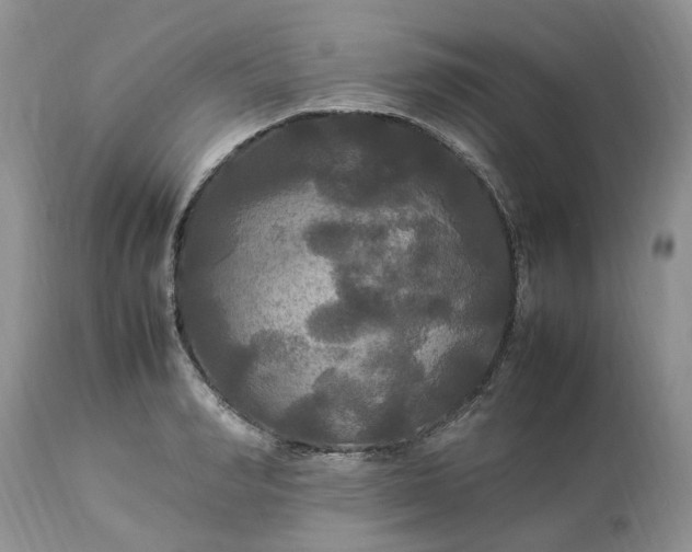 X0000113070990200909110936