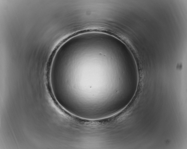 X0000113070991200909110936