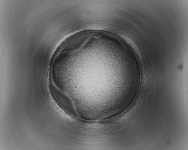 X0000113070992200909110936