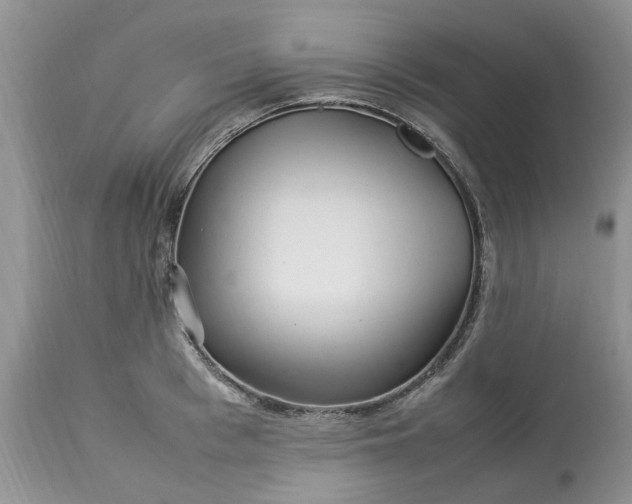 X0000113070993200909110936