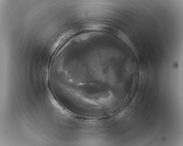 X0000113070994200909110936