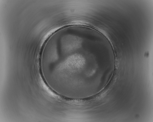 X0000113070995200909110936