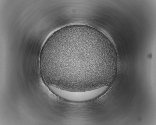 X0000113070996200909110936