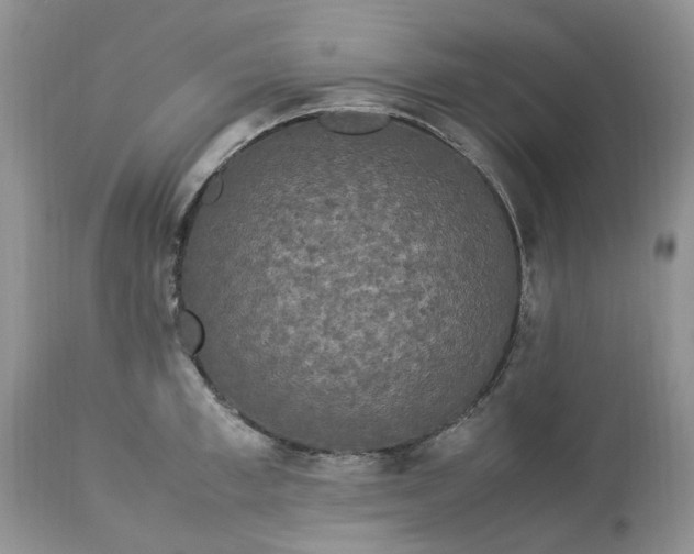 X0000113070997200909110936