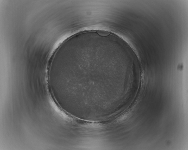 X0000113070998200909110936