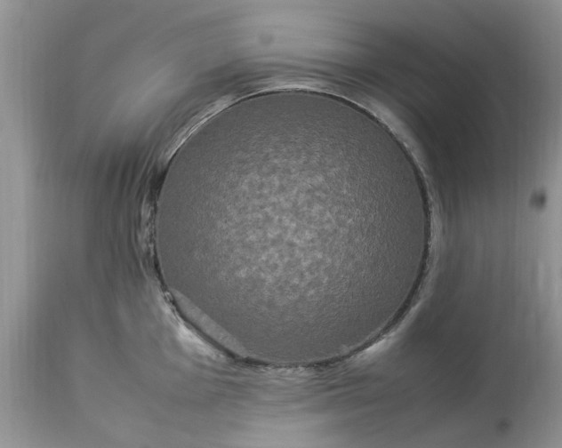 X0000113071001200909110936