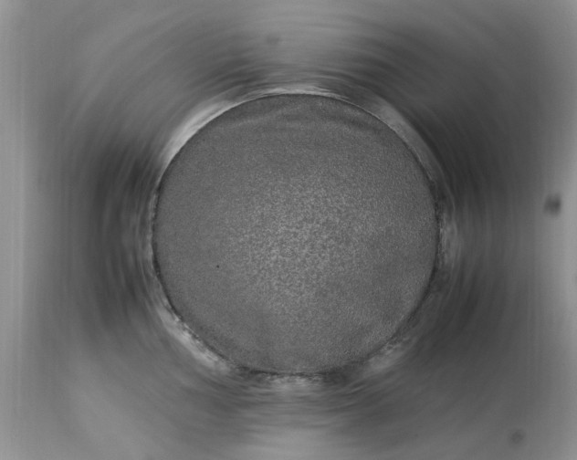 X0000113071002200909110936