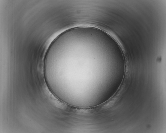 X0000113071004200909110936