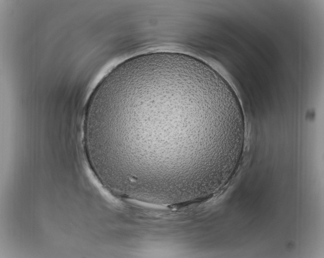 X0000113071005200909110936