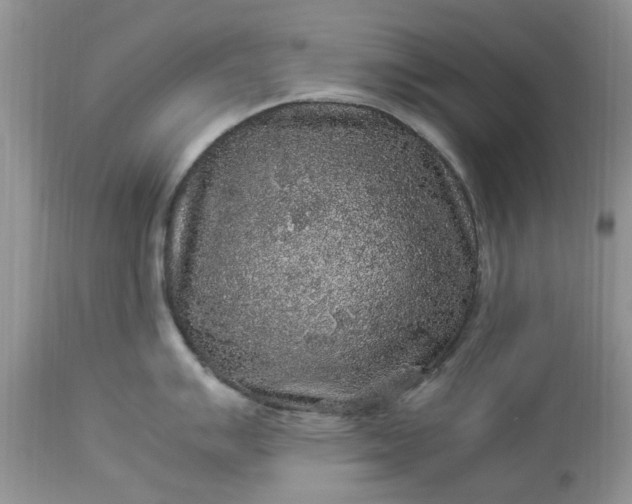 X0000113071007200909110936