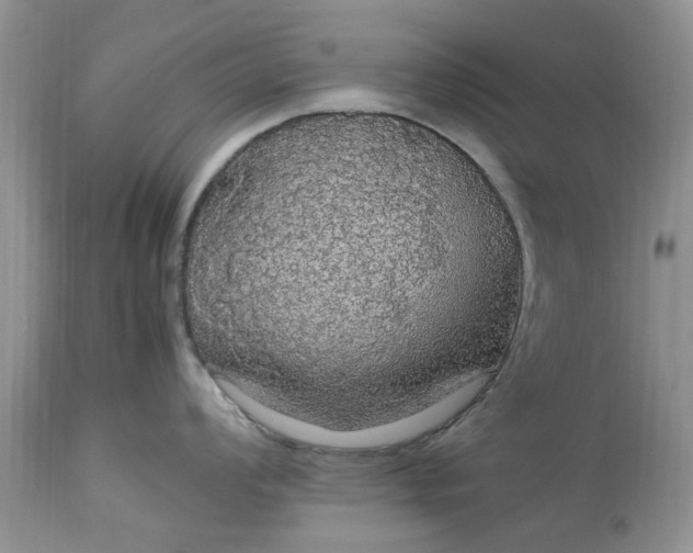 X0000113071008200909110935