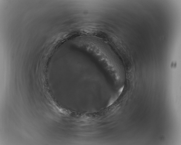 X0000113071009200909110935