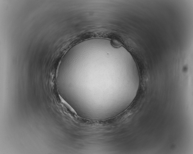 X0000113071010200909110935