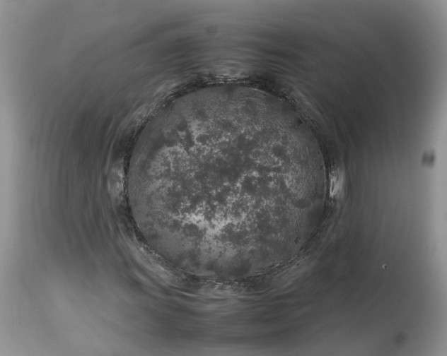 X0000113071011200909110935