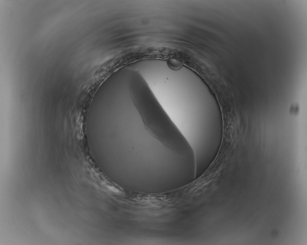 X0000113071013200909110935