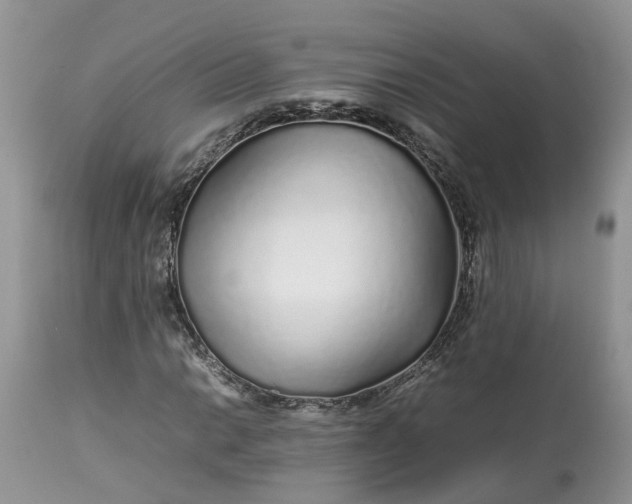 X0000113071014200909110935