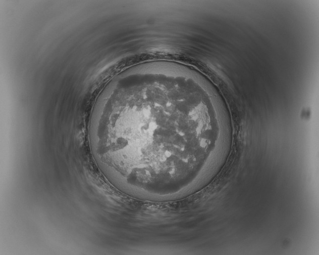 X0000113071015200909110935