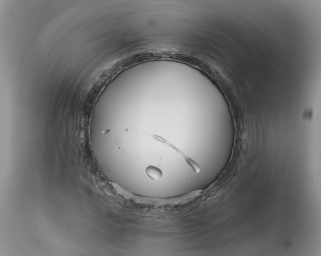 X0000113071016200909110935