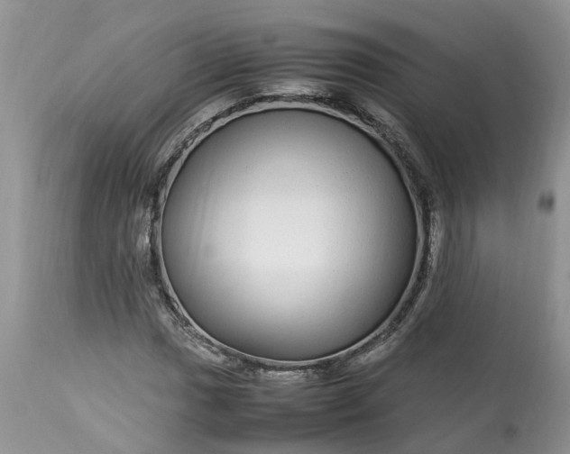 X0000113071017200909110935