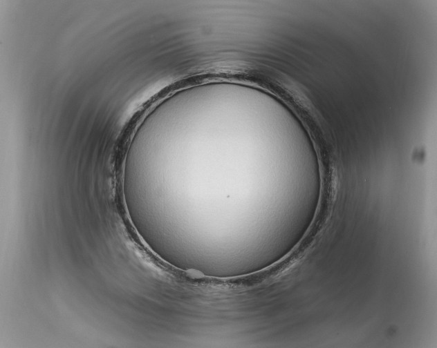 X0000113071018200909110935