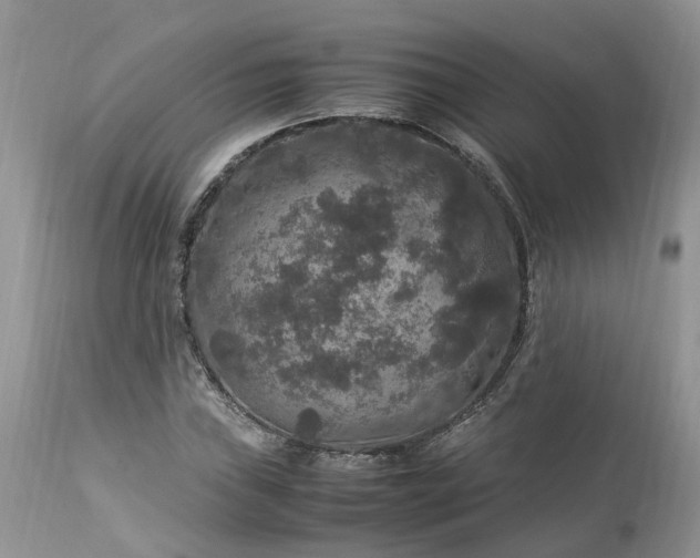 X0000113071019200909110935