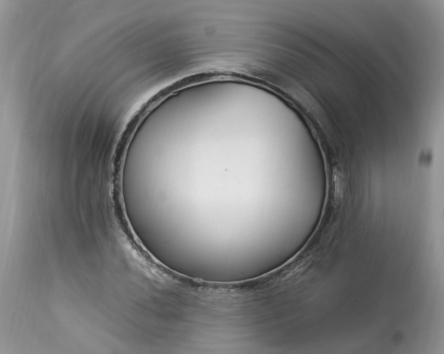 X0000113071020200909110935