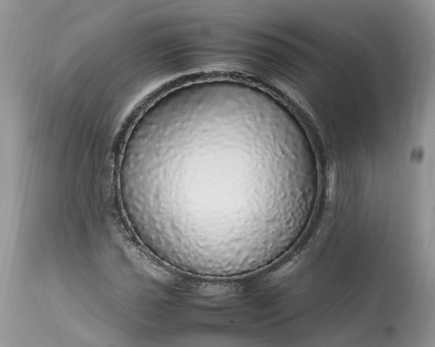 X0000113071021200909110935